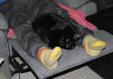 Nov 14 Qnight aft sick.JPG