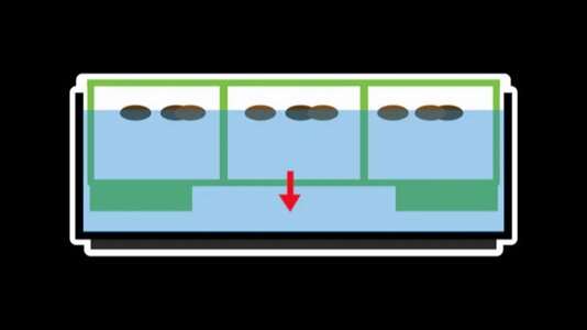 IMG_7650.jpg IMG_7650.jpg