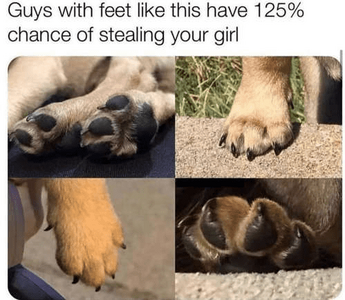 1763222547042.png