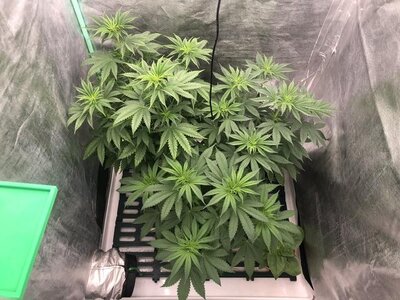 IMG_7675.jpeg IMG_7675.jpeg