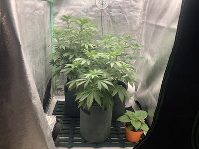 IMG_7676.jpeg IMG_7676.jpeg