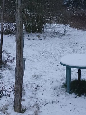 20251116_062728.jpg 20251116_062728.jpg