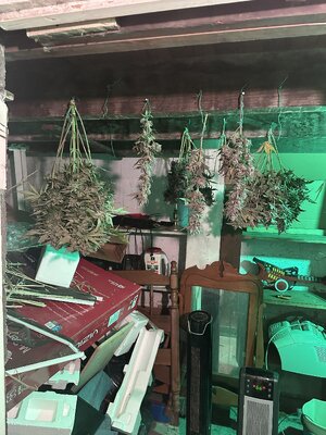 IMG_7700.jpeg IMG_7700.jpeg