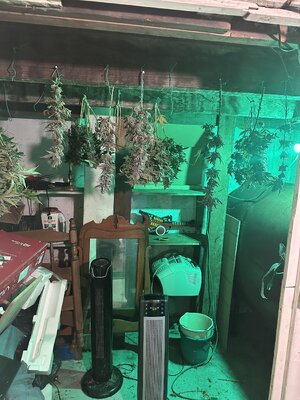 IMG_7701.jpeg IMG_7701.jpeg