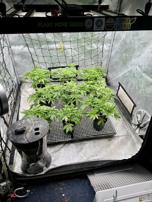 IMG_7705.jpeg IMG_7705.jpeg