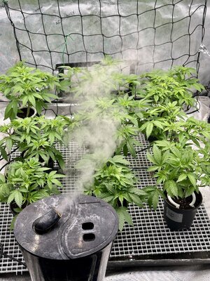 IMG_7706.jpeg IMG_7706.jpeg