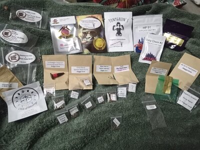 IMG_20251116_100037_881.jpg IMG_20251116_100037_881.jpg