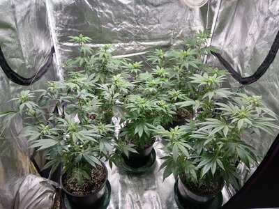 20251117_005952.jpg 20251117_005952.jpg