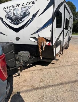 G43kbHOa0AA6gXp.jpg G43kbHOa0AA6gXp.jpg