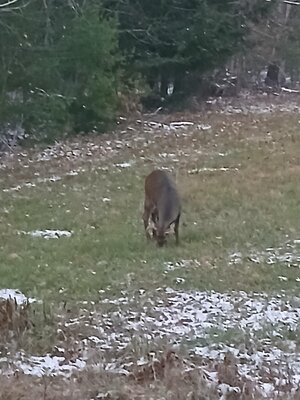 20251117_162059.jpg 20251117_162059.jpg