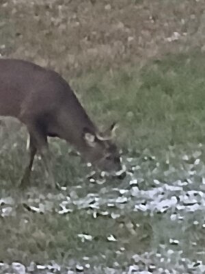 20251117_162128.jpg 20251117_162128.jpg