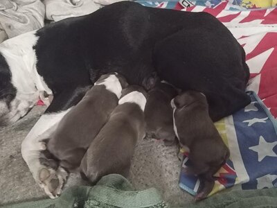 IMG_20251118_101019_068.jpg IMG_20251118_101019_068.jpg