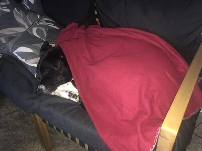 IMG_7686.jpeg IMG_7686.jpeg