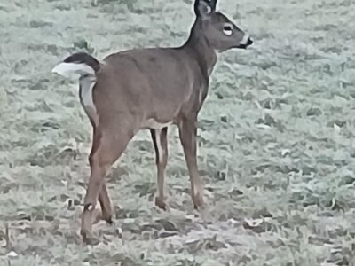 20251119_065253.jpg 20251119_065253.jpg