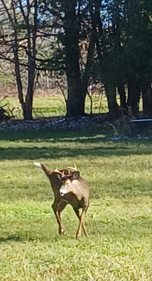 20251119_113958.jpg 20251119_113958.jpg