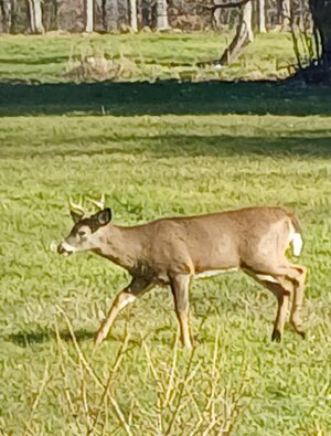 20251119_114001.jpg 20251119_114001.jpg