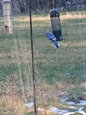 20251119_145126(0).jpg 20251119_145126(0).jpg