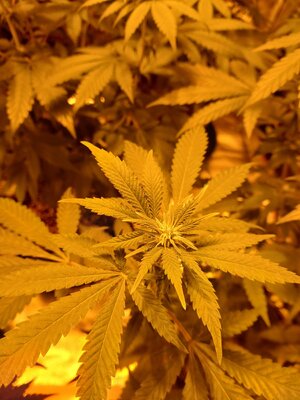 20251120_062730.jpg 20251120_062730.jpg