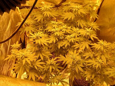 20251120_062736.jpg 20251120_062736.jpg