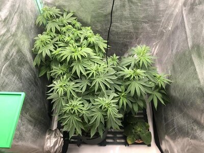 IMG_7719.jpeg IMG_7719.jpeg