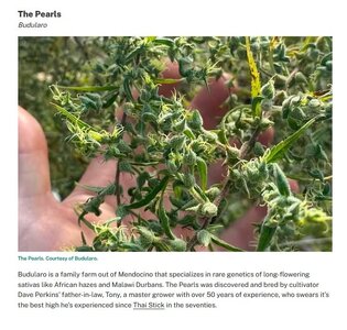 Screenshot 2025-11-19 113117.jpg Screenshot 2025-11-19 113117.jpg