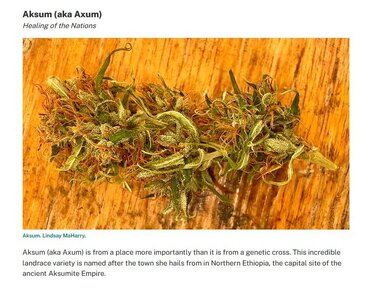 Screenshot 2025-11-20 094034.jpg Screenshot 2025-11-20 094034.jpg