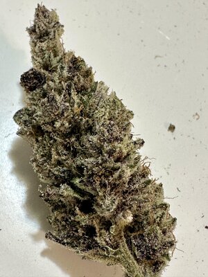 IMG_7740.jpeg
