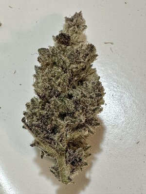 IMG_7742.jpeg
