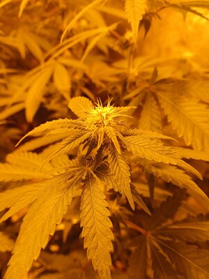 20251123_222811.jpg 20251123_222811.jpg