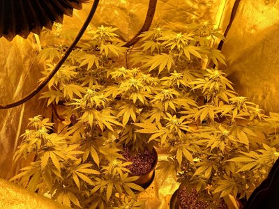 20251123_222749.jpg 20251123_222749.jpg