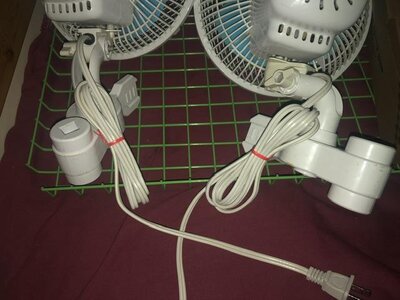 IMG_7784.jpeg