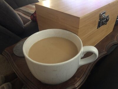 IMG_7782.jpeg IMG_7782.jpeg