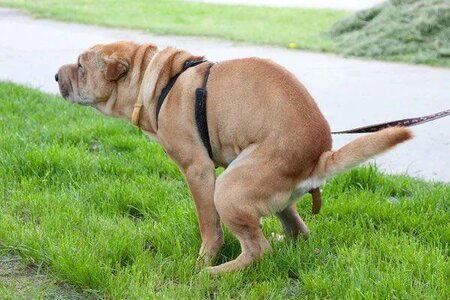 IMG_7786.jpeg
