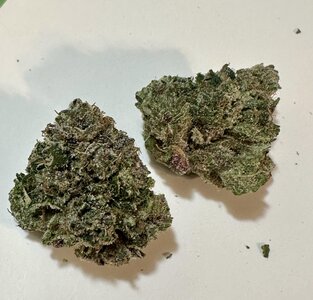IMG_7762.jpeg