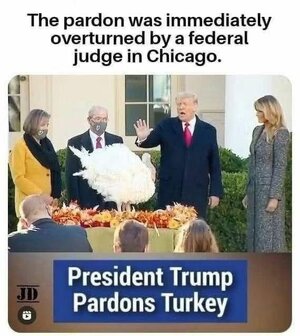 ca035d6a0afbd91c0888d13b363063f0.jpg