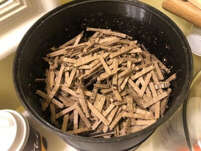 IMG_7809.jpeg