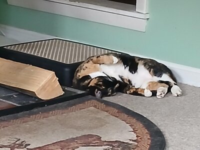 20251123_101713.jpg