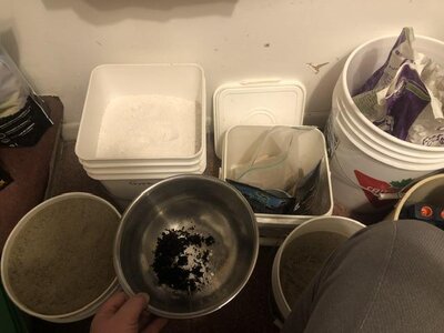 78594947788__9FCAE6EC-4229-48F3-89B6-65CC10378267.jpeg 78594947788__9FCAE6EC-4229-48F3-89B6-65CC10378267.jpeg