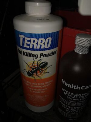 IMG_7866.jpeg IMG_7866.jpeg