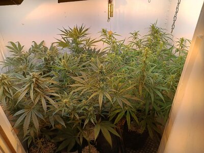 IMG_20251128_161143344_HDR.jpg