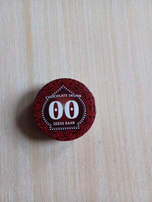 S0 (2).jpg
