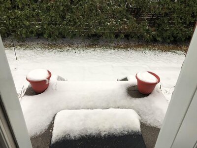 IMG_7935.jpeg IMG_7935.jpeg