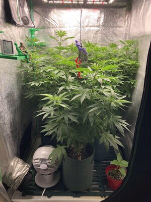 IMG_7955.jpeg IMG_7955.jpeg