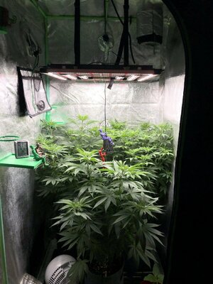 IMG_7957.jpeg IMG_7957.jpeg