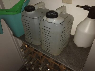 IMG_7958.jpeg IMG_7958.jpeg