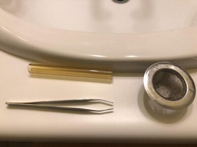 IMG_7972.jpeg