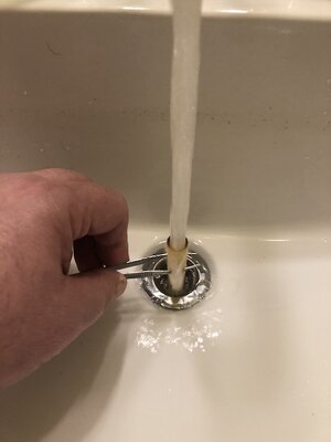 IMG_7975.jpeg