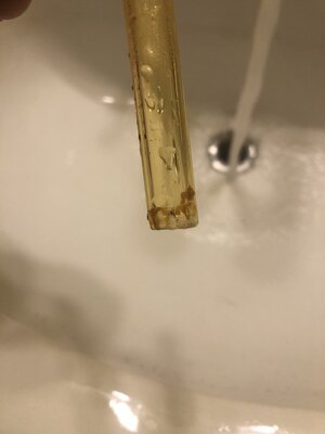IMG_7976.jpeg