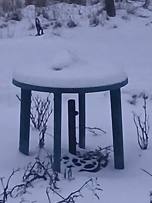 20251202_161826.jpg
