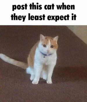 6f33ac0ba832f446d40967fcd76348f3.jpeg
